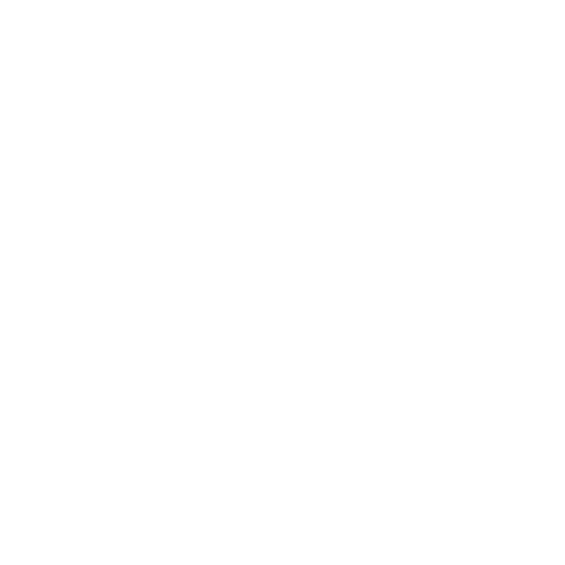 vision